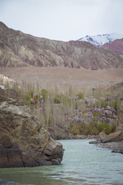 Spring Along The Indus | Nature Wall Decor