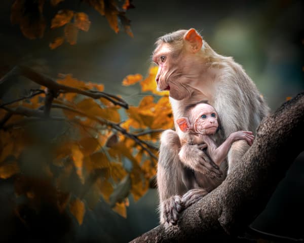 Safe In Her Hands