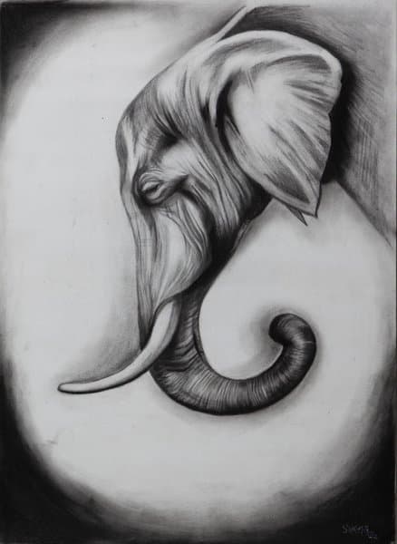 The Lost Elephant | Charcoal Wildlife Portrait