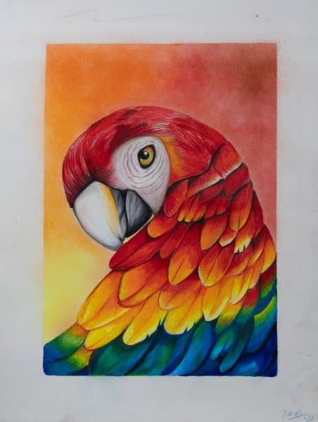 Majestic Scarlet Macaw | Wildlife Bird Art