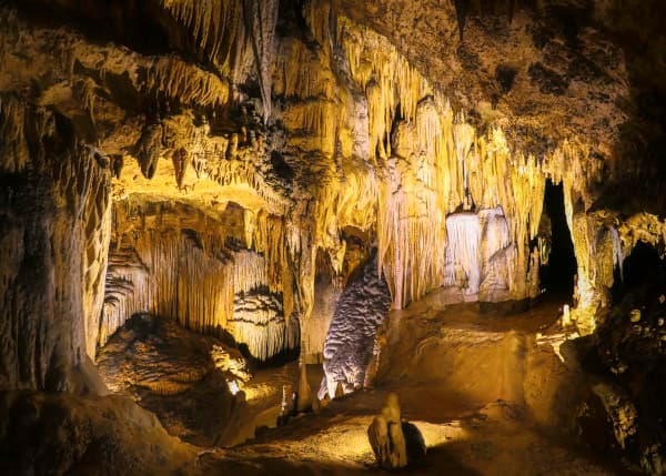 Nature Cathedral