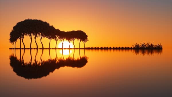 Sunset View