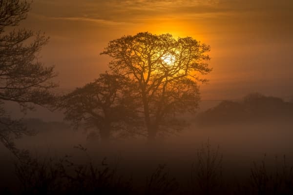 Golden Mist Sunrise | Nature Photography