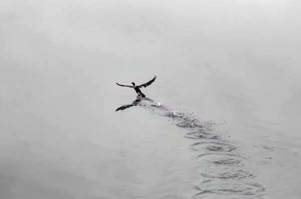 Take Off