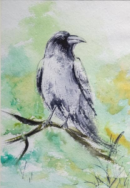 Silent Observer