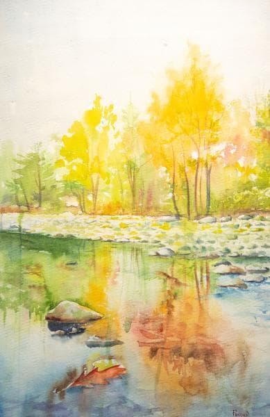 Autumn Reflections