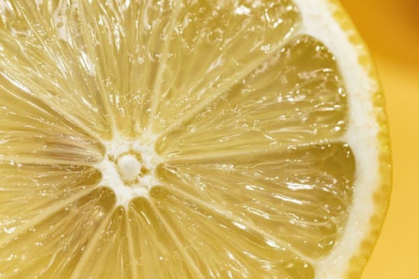 Lemon Slice Close-up| Citrus Photography