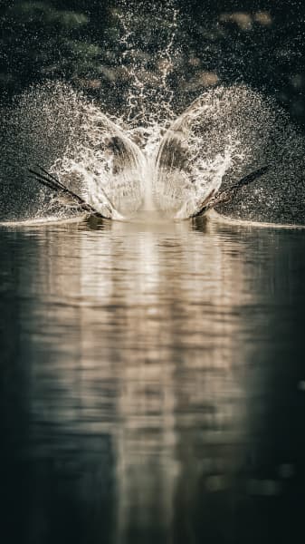 The Kill Splash