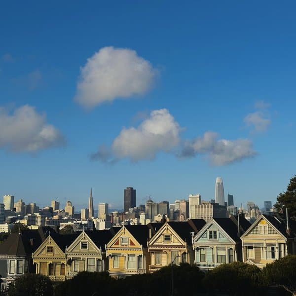 Painted Ladies | Fine Art Photography