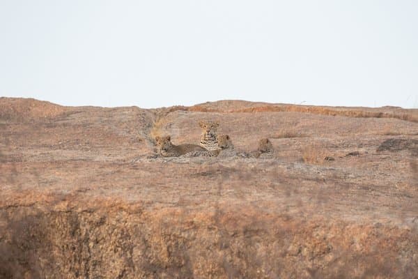 The Heirs Of The Granite Kingdom | Landscape Photography