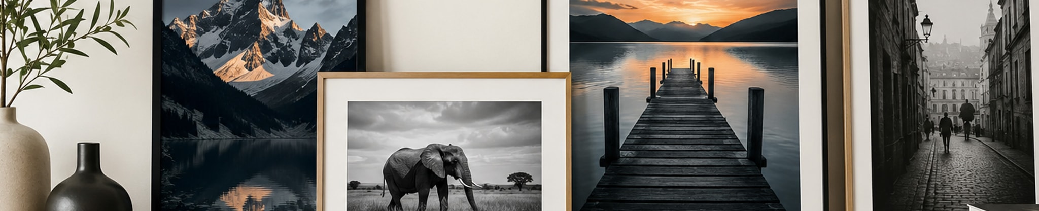 Photographs