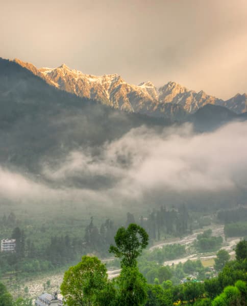 From Ladakh | Nature Wall Decor