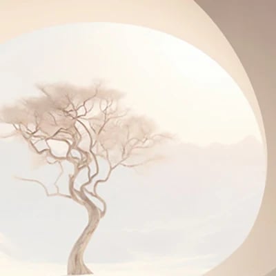 Minimalist