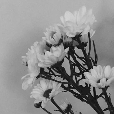 Monochrome